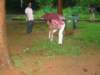dsc02860_small.jpg