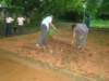 dsc02870_small.jpg