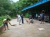 dsc02928_small.jpg
