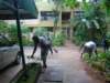 dsc02939_small.jpg