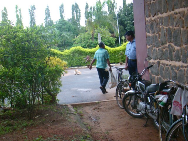 dsc02997.jpg