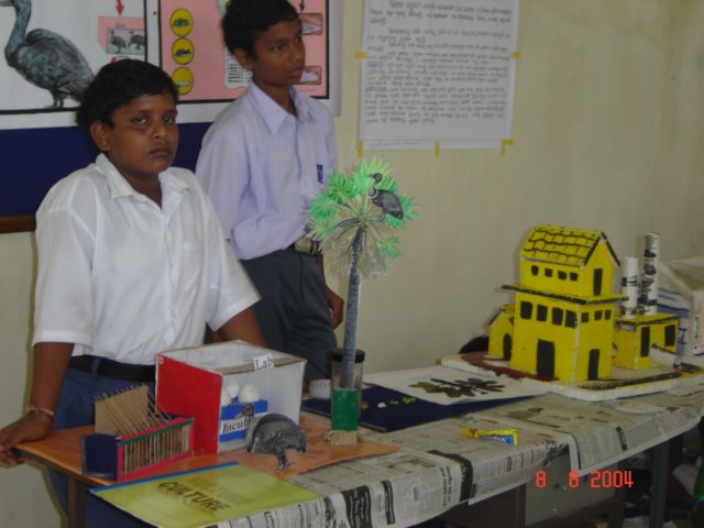 Photograph