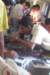 sciencemodelcontest2008006_small.jpg