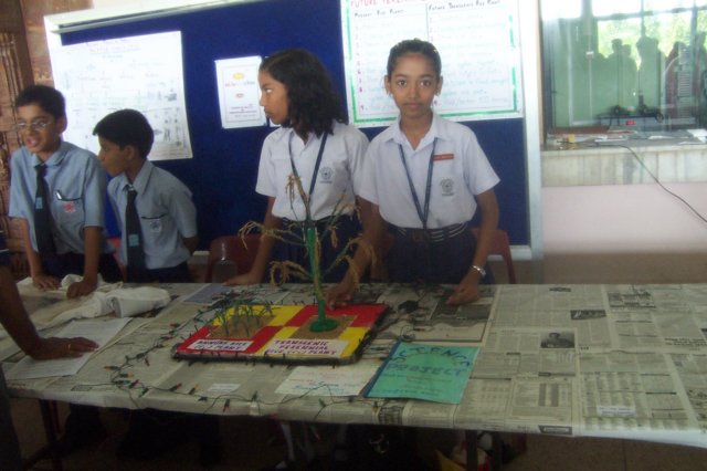 sciencemodelcontest2008016.jpg