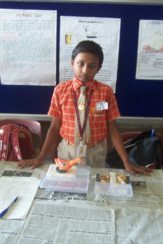sciencemodelcontest2008041.jpg