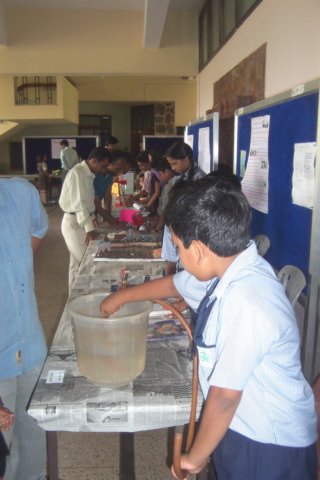 sciencemodelcontest2007009.jpg