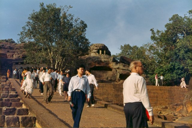 Photograph