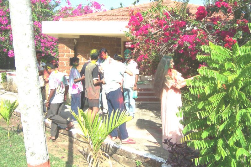 Photograph