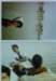 Photo Number 23