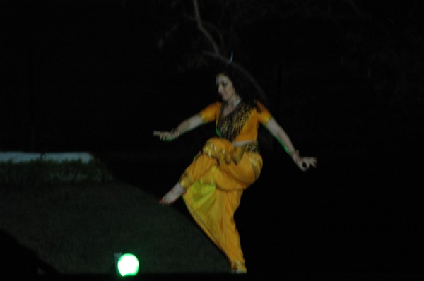 dsc_0291.jpg