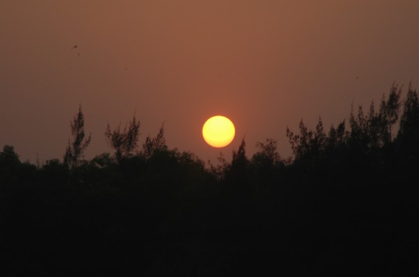 dsc_0424.jpg