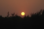 dsc_0424.jpg
